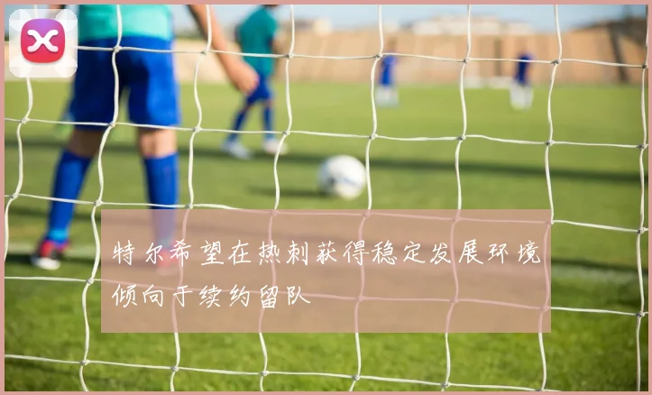特尔希望在热刺获得稳定发展环境倾向于续约留队