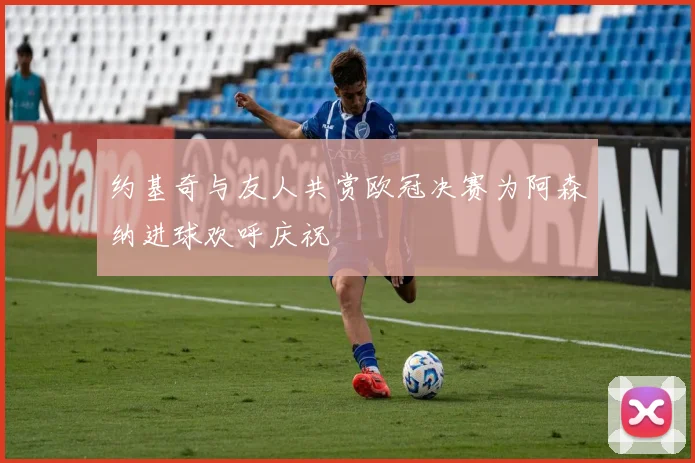约基奇与友人共赏欧冠决赛为阿森纳进球欢呼庆祝